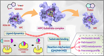 Graphical abstract: Modeling catalytic reaction on ligand-protected metal nanoclusters