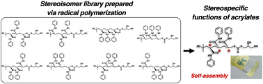 Graphical abstract: Stereoisomer library prepared via controlled radical polymerization: isolation, structural identification and discovery of stereospecific gelation behaviour of tri(N-phenyl acrylamide)