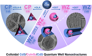 Graphical abstract: Colloidal CuInS2 quantum well nanostructures with II–VI semiconductors as barrier layers