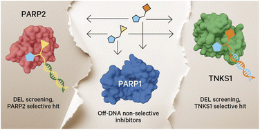 Graphical abstract: Widespread false negatives in DNA-encoded library data: how linker effects impair machine learning-based lead prediction