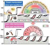 Graphical abstract: Entanglement of spin transition and structural adaptability: manipulating the slow spin equilibrium by the guest-mediated fine-tuning of elastic frustration
