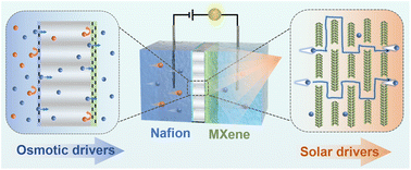 Graphical abstract: Two-sided asymmetric nanofluidic membrane for enhanced ion transport and osmotic energy harvesting