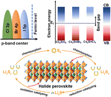 Graphical abstract: Insights into the halogen-induced p-band center regulation promising high-performance lithium–sulfur batteries