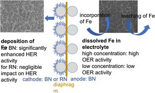 Graphical abstract: Dynamic and interconnected influence of dissolved iron on the performance of alkaline water electrolysis