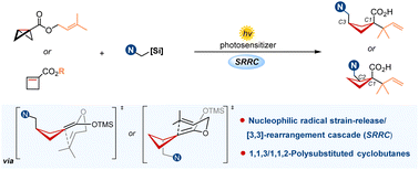 Graphical abstract: Synthesis of polysubstituted cyclobutanes through a photoredox strain-release/[3,3]-rearrangement cascade