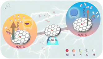 Graphical abstract: Continuous coordination modulation with different heteroatoms unveils favorable single-atom Ni sites for near-unity CO selectivity in CO2 electroreduction