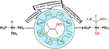 Graphical abstract: Activation of perfluoro(methyl vinyl ether) at Rh(i) complexes: metal-centered versus phosphine-mediated decarbonylation
