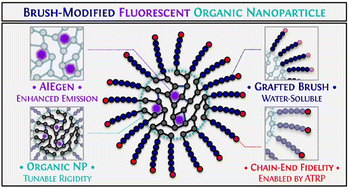 Graphical abstract: Brush-modified fluorescent organic nanoparticles by ATRP with rigidity-regulated emission