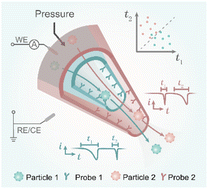 Graphical abstract: Multi-dimensional analysis of single particles with sequential dual-nanopipette sensors