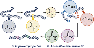 Graphical abstract: Backbone editing and deconstruction of polyethylene by Beckmann rearrangement and hydrogenolysis