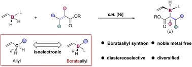 Graphical abstract: Nickel-catalyzed diastereoselective hydroboration of acrylates with a vinylborane reagent