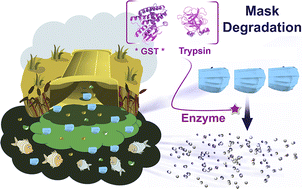 Graphical abstract: High-efficiency enzymatic biodegradation of polypropylene-based melt-blown fabric debris