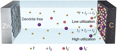 Graphical abstract: Iodide-mediated intermediate regulation strategy enables high-capacity and ultra-stable zinc–iodine batteries