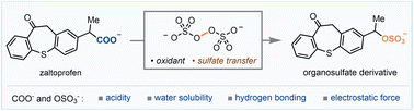 Graphical abstract: Decarboxylative sulfation by persulfates