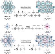 Graphical abstract: Spin polarization induced rapid reconstruction of transition metal oxide for efficient water electrolysis