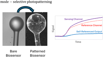 Graphical abstract: Mode-directed photopatterning of whispering gallery mode optical resonators