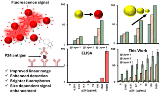 Graphical abstract: Comprehensive studies to improve ultrasensitive detection of HIV-1 p24 antigen
