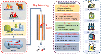 Graphical abstract: Challenges in biogas valorization, effect of impurities on dry reforming process during H2 generation: a review