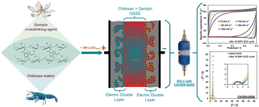Graphical abstract: A genipin-crosslinked chitosan hydrogel as a quasi-solid-state electrolyte for sustainable electrochemical capacitors