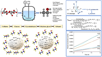 Graphical abstract: Cellulose hydrogenolysis on a combination of tungsten oxide nanorods with and without ruthenium loading for enhanced ethanol selectivity