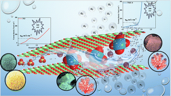 Graphical abstract: Pushing the limits of the layers: completely delaminated α-Ni(OH)2 – an enhanced electrocatalyst for the OER