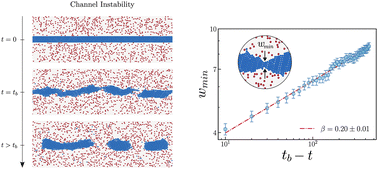 Graphical abstract: Channel instability in binary mixtures with differential diffusivity