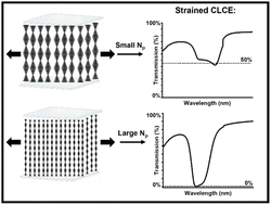 Graphical abstract: Helical pitch and thickness-dependent opto-mechanical response in cholesteric liquid crystal elastomers