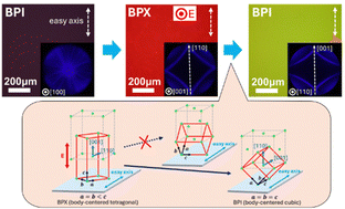 Graphical abstract: Electrostriction-based orientation control of blue phase I liquid crystal