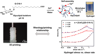 Graphical abstract: Microbial biosurfactant hydrogels with tunable rheology for precision 3D printing of soft scaffolds