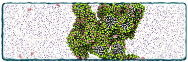 Graphical abstract: Thermodynamic anatomy of micelle-small molecule coacervation