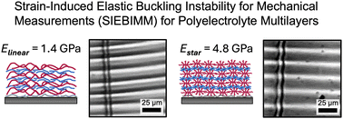 Graphical abstract: Influence of polymer architecture, ionization, and salt annealing on the stiffness of weak polyelectrolyte multilayers