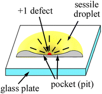 Graphical abstract: Topological transformations of isotropic droplets with breakup and formation of topological defects in a confined nematic geometry
