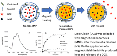 Graphical abstract: Magnetically induced drug release from niosome-based nanocarriers loaded with doxorubicin