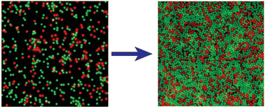 Graphical abstract: Frustrated crystallization kinetics in marginally mismatched binary self-assembly driven by depletion interactions