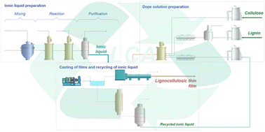 Graphical abstract: Unveiling the environmental costs of lignocellulosic film production with ionic liquids: the case of 1-ethyl-3-methylimidazolium acetate