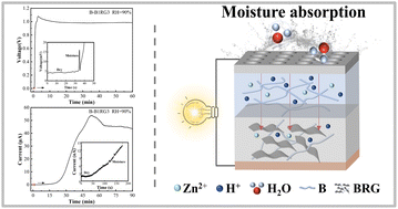 Graphical abstract: Bacterial cellulose/reduced graphene oxide bilayer films for moist-electric power generation