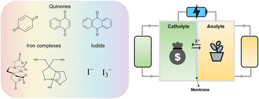 Graphical abstract: Challenges and advances in redox flow batteries utilizing sustainable and cost-effective non-vanadium active materials