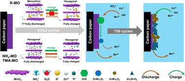 Graphical abstract: Ammonium-preintercalated layered manganese oxide with single-phase intercalation chemistry and enhanced two-electron reaction in aqueous zinc-ion batteries