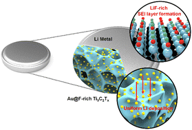 Graphical abstract: Dual-functional surface of MXene anodes boosts long-term cyclability of lithium-metal batteries