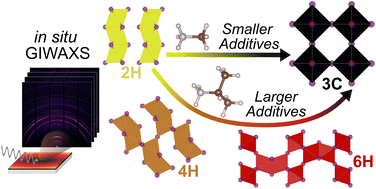 Graphical abstract: Polytype selection in the antisolvent-free crystallization of formamidinium lead iodide using alkylammonium chlorides