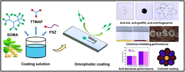 Graphical abstract: A novel biopolymer-based omniphobic coating system functionalized with polysilazane for anti-smudge, chemical shielding, and bacterial anti-adhesion applications