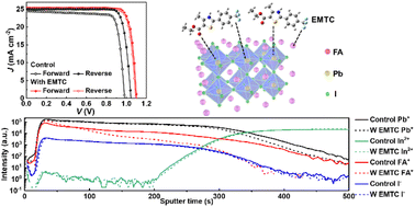 Graphical abstract: Pb defect passivation and FA immobilization: towards efficient and stable perovskite solar cells