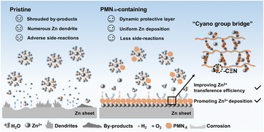 Graphical abstract: “Cyano group bridge”-based enabling high zinc-ion transference number and cycling stability of aqueous zinc-ion batteries