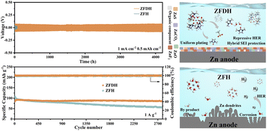 Graphical abstract: Modulating an anion-enriched Zn2+ solvation structure via a dual weak interaction for stable zinc–metal batteries