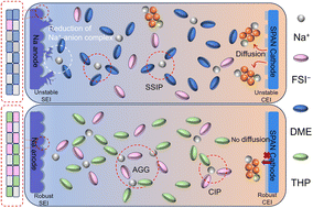 Graphical abstract: A non-fluorinated, weakly solvating electrolyte for efficient sodium–sulfurized polyacrylonitrile batteries