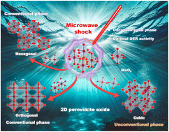Graphical abstract: Microwave shock-driven thermal engineering of unconventional cubic 2D LaMnO3 for efficient oxygen evolution