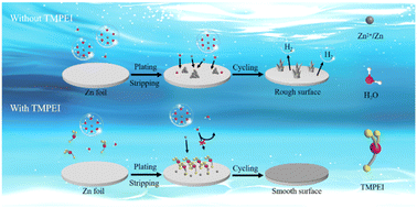 Graphical abstract: A thiol-modified solid electrolyte interphase enhances the stability of zinc anodes under high depths of discharge