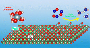 Graphical abstract: Assembly of an actinide-uranium single atom catalyst on defective MXenes for efficient NO electroreduction