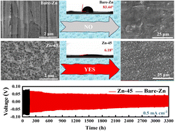 Graphical abstract: Desired spontaneous corrosion via a highly hydrophilic porous layer for aqueous zinc-ion batteries
