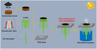 Graphical abstract: An elaborate balance between water transport and heat localization: a phoenix-tail skirt inspired solar evaporator
